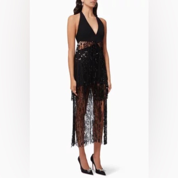 RASARIO Sequinned Fringe Dress in Crepe - Picture 6 of 15